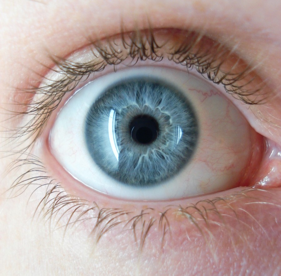 image of a blue eye
