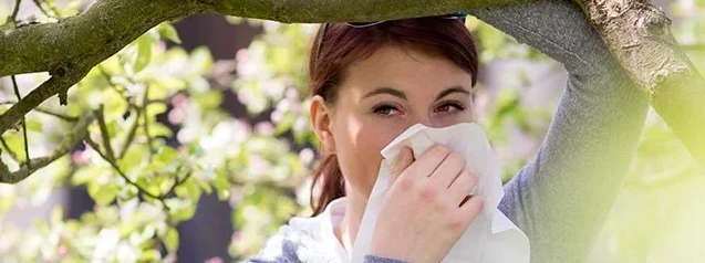 Woman with allergies blowing into a tissue
