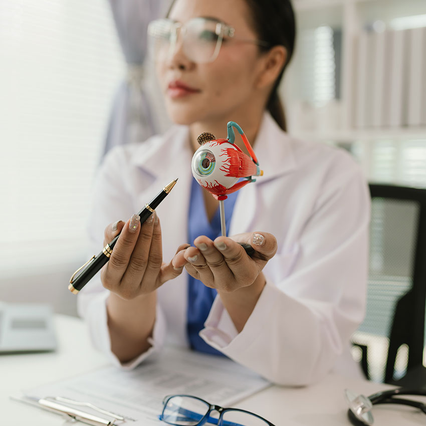 Close-up-of-Asian-female-doctor-talking-with-elderly-patient-showing-eyeball-model-and-explaining-eye-disease-in-hospital