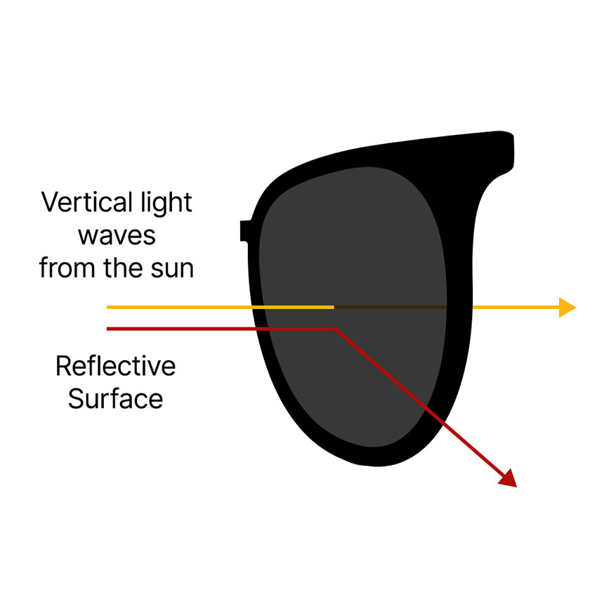 Polarized