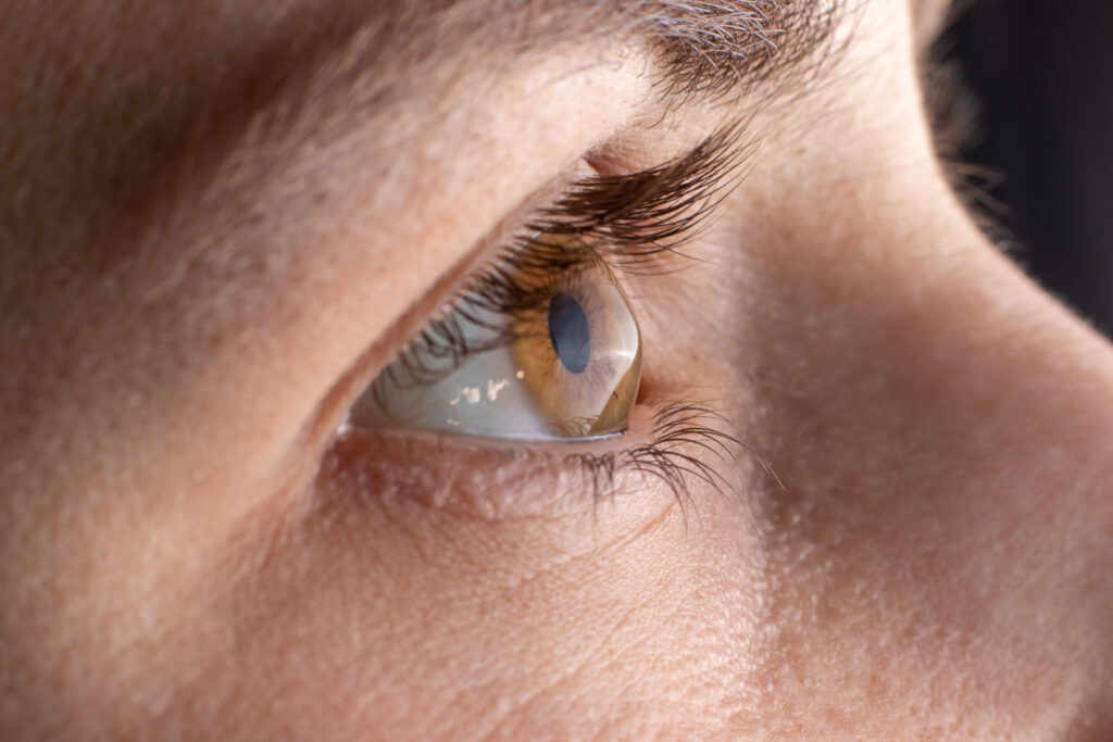 shutterstock_1758656771-scaled